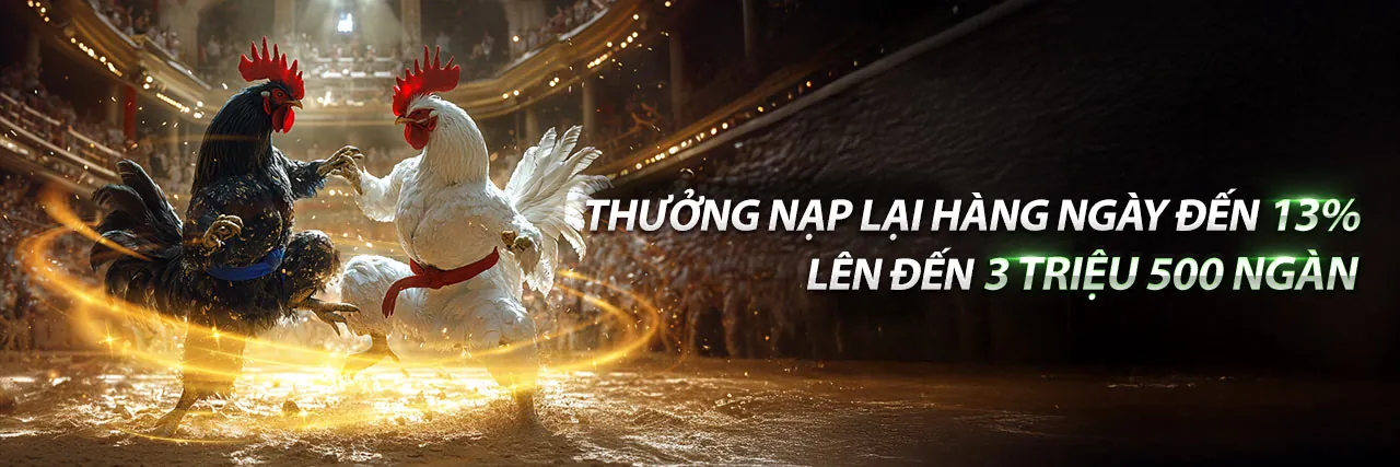 Sân đấu đá gà kịch tính tại sabong67 app